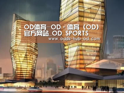 案例展示三